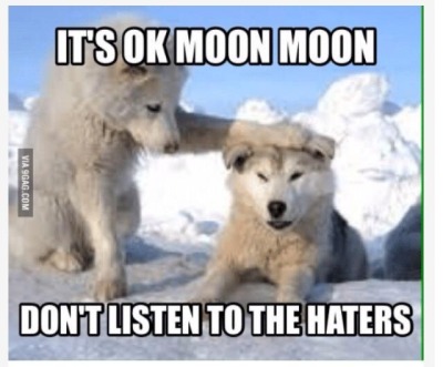 silvergryphon:tokenofmydevotion:feral-flower-child:feral-flower-child:feral-flower-child:callingallcars:callingallcars:everyone’s debating posts of the decade, best and worst, and i have yet to see anyone mention moon moonfor those who were not on here