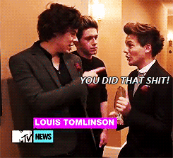 EVERYTHING IS ONE DIRECTION & NOTHING HURTS