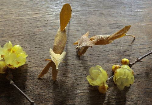 SUPER CUTE frolicking foxes made fromginkgo leaves, new step by step by Inori (you can find the vide