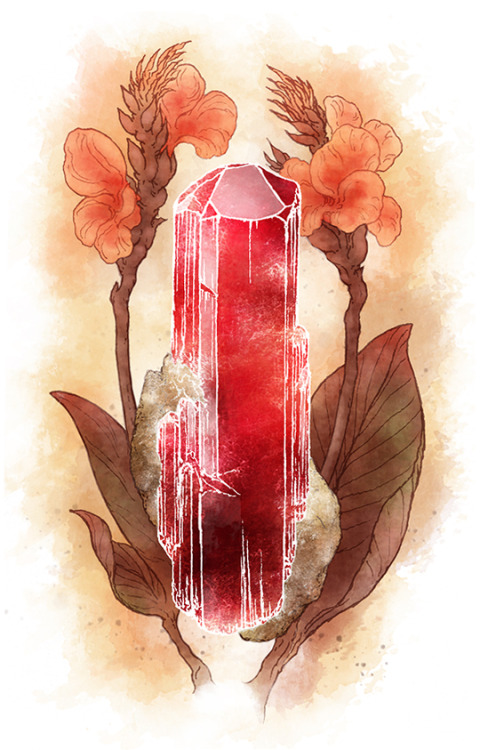 Telluric Tarot- Rubellite and Canna flowersTarot equivalent to the Ace of Wands - Beginnings, energy