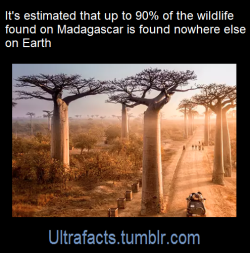 ultrafacts: Source: [x] Click HERE for more facts! 