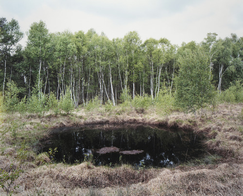 nevver:Bomb craters, Henning Rogge