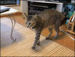 funny-gif-1:Other Funny Gİfs http://funny-gif-1.tumblr.com/