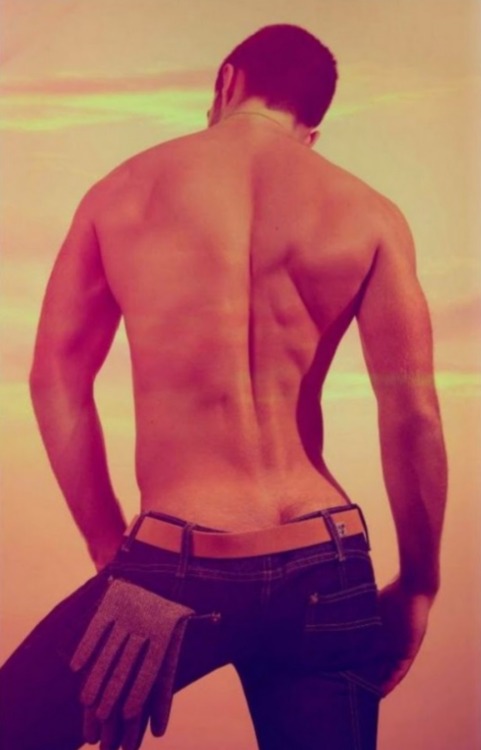 cutrobin: tutoyerlesanges:  http://tutoyerlesanges.tumblr.com/archive     cutrobin    