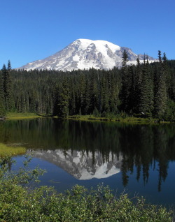 mountrainiernps: Landscape Language Lentic (adj) – relating to still water Last week’s Landscape Language post was on lotic, or moving, water systems. In comparison, lentic ecosystems refer to still water environments. Lentic systems include all the