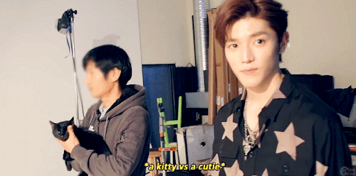 nctaezen:a cutie vs a kitty ♡