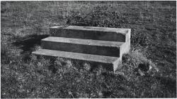 lepasau-dela:  Paul Nash, Steps in a field