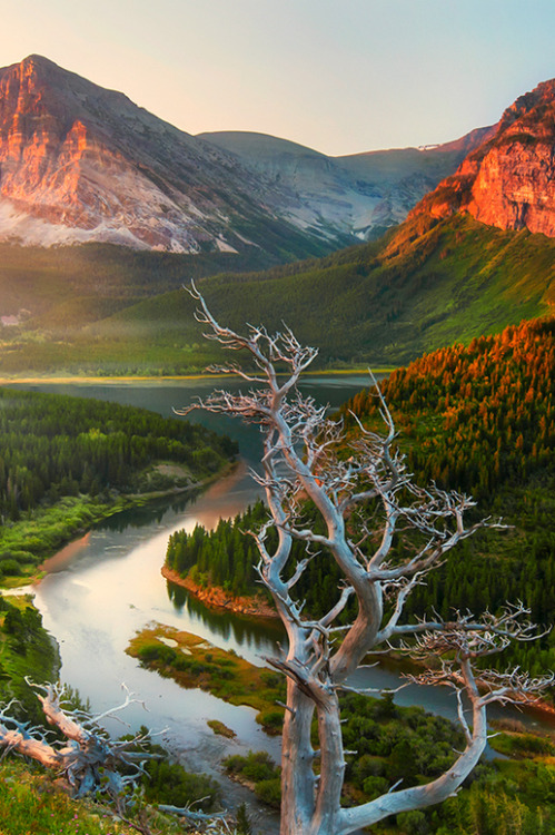 Spirit, lead me where my trust is without borders