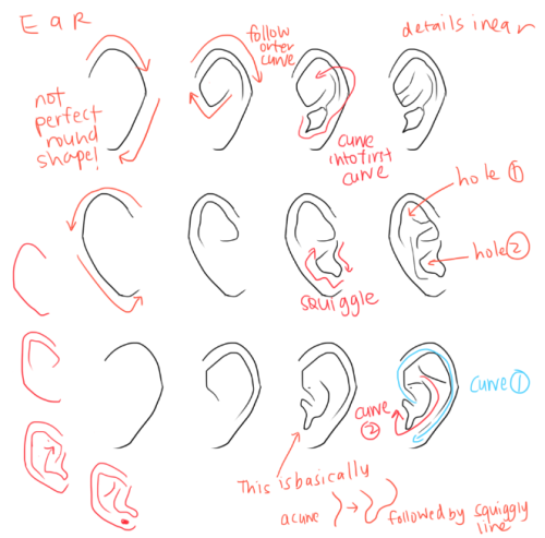 kelpls:  UMM PEOPLE ASKED ABOUT NOSES AND EARS SO YEAH!!  please look up real references too don’t just look at THESE CAUSE REAL REFS ARE THE BEST I HOpe this helps somewhat i wan’t sure waht to cover SOBS  