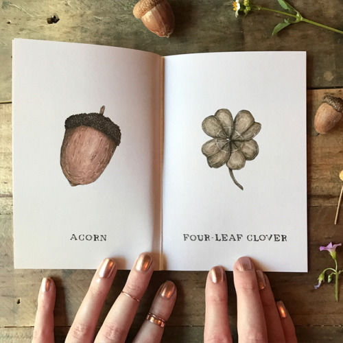Lucky You zines are here! They contain a collection of illustrated lucky symbols, from four leaf clo