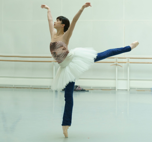tanaquilleclercq:Akane Takada and William Bracewell in rehearsal for Swan Lake.The Royal Ballet.Phot