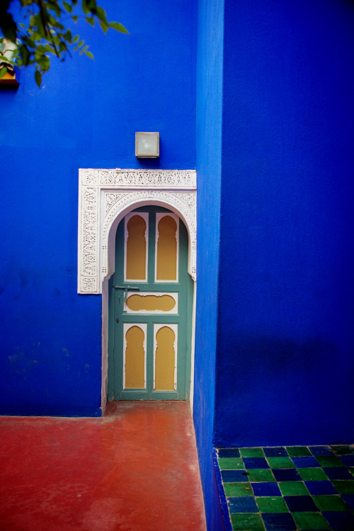 shevyvision:  the famous majorelle blue of the majorelle gardens of marrakech this is morocco! 