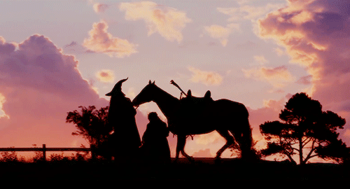 glorfindels:“Come along, Samwise. Keep up.”