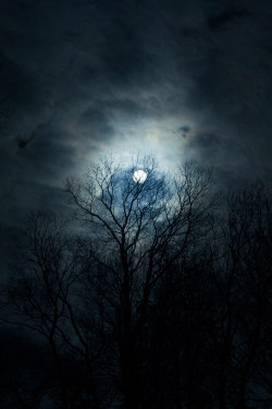  Enchanted Moon ~ By Yu Chen Hou 