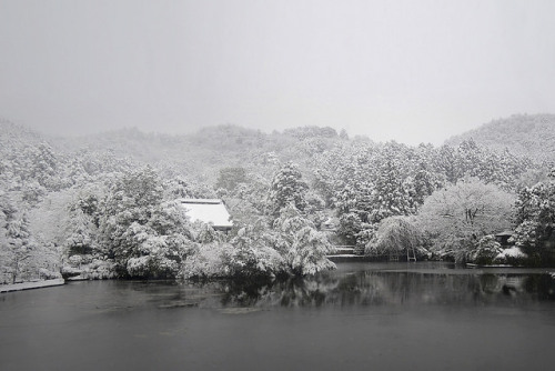 ileftmyheartintokyo: 龍安寺 鏡容池雪の鏡容池 - 龍安寺 ／ Ryoan-ji Temple in Winter by Active-U on Flickr.