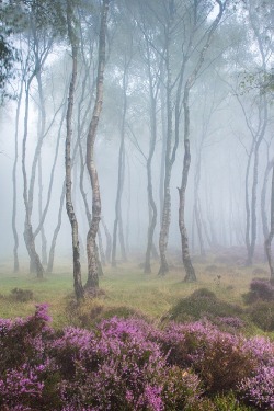 ponderation:  Misty Stanton Moor, Peak District, England by JamesMills1  