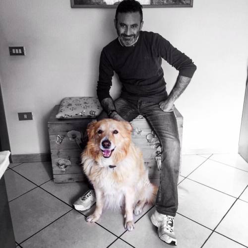 #dog #cane #mydog #ilmiocane #biondo #beautufl #bn #areapiu #casacirillo #fratelli #amici #unico #do