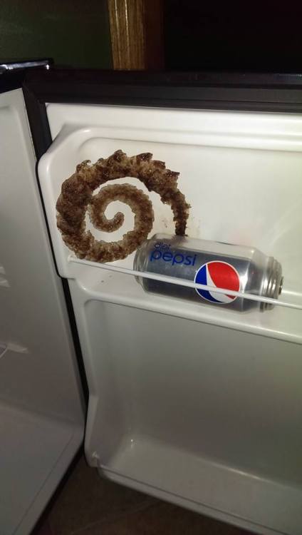 modmad:stunningpicture:Soda froze into a spiral (xpost /r/oddlysatisfying)#thats some junji ito shit
