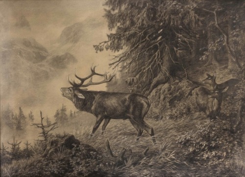 Reinhold KuklaHirsch und Rehe im Gebirgswald , 1910