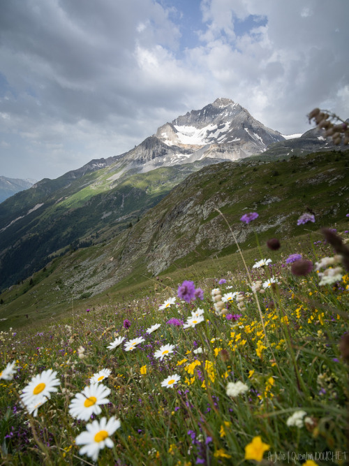 La Dent Parrachée.(Parc national de la Vanoise - Juillet 2021).(A Julie…) © Quentin Douchet.