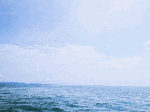 crymethepacific: HOME