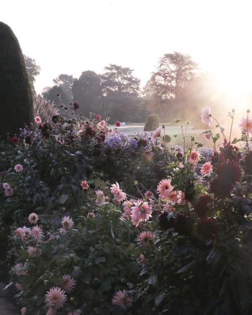 andantegrazioso: Forde Abbey and Gardens |  fordeabbey