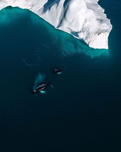 michaelschauerphoto:prints | Behance