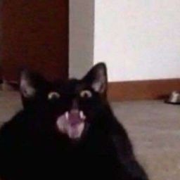 I Will Starve Myself To Death If Ghost Or Alex Suffer From Any Damage In The Mw III Campaign.