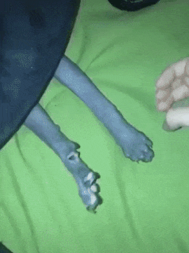 everythingstarstuff: