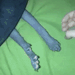 everythingstarstuff:
