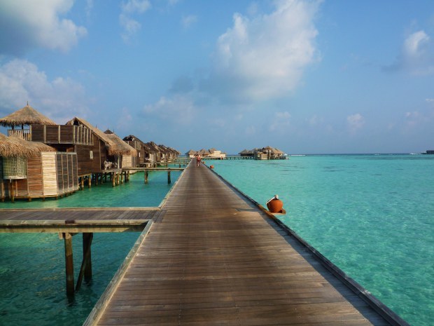 luxurytravelexpert:  #DailyInspiration: Gili Lankanfushi @GiliLankanfushi is one