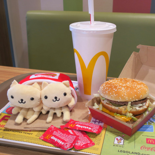 chillaxingwithmydrank: the nyan nyan nyanko love to do impressions of food, but you cannot eat the i