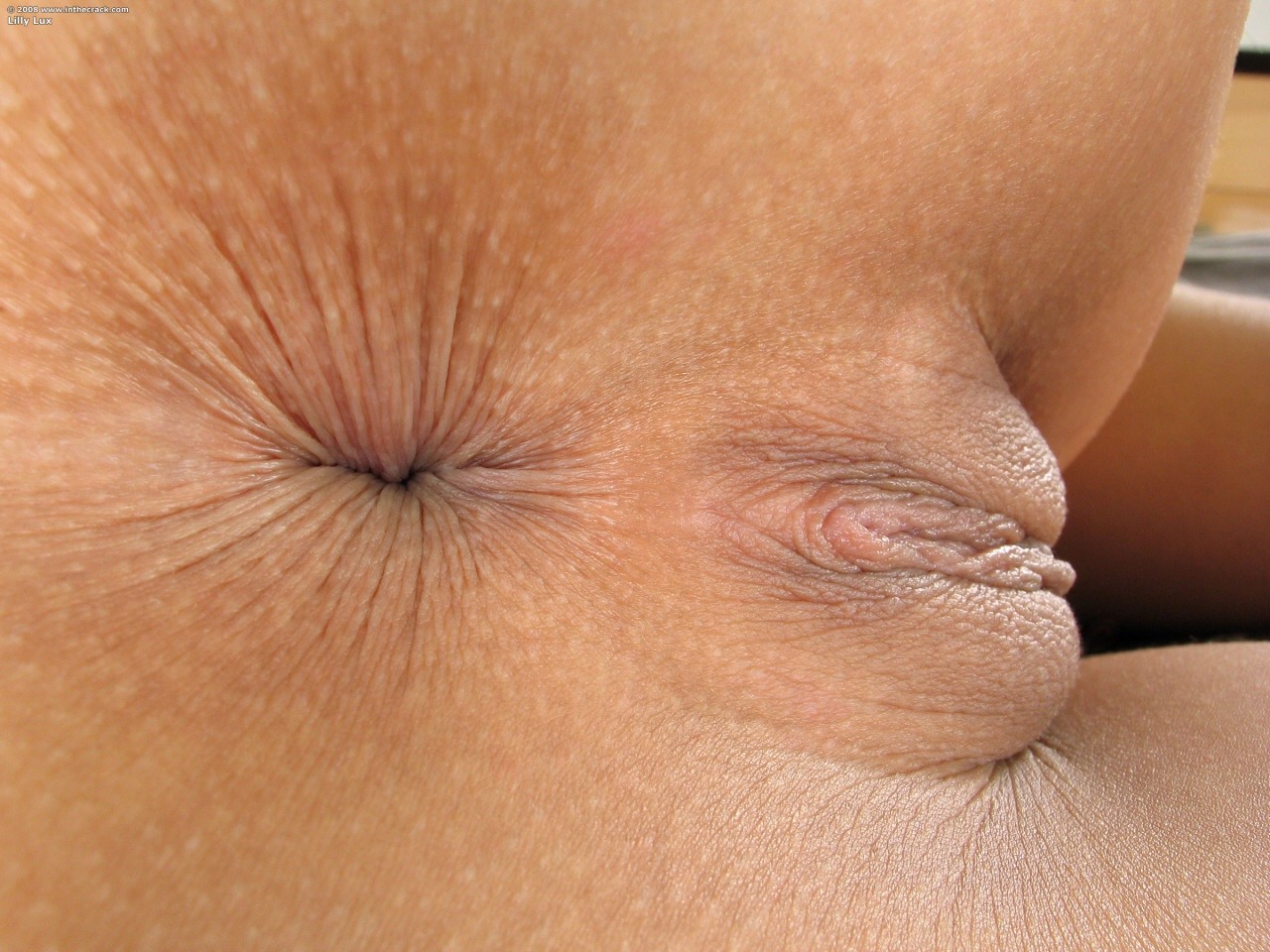 anal-gape-lover97:  empireartistry:  HD Close Up mmmmmm!  This is what i think of