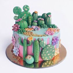 plantinghuman:  Too beautiful to eat… but I’m hungry Source:  succulent_fever   