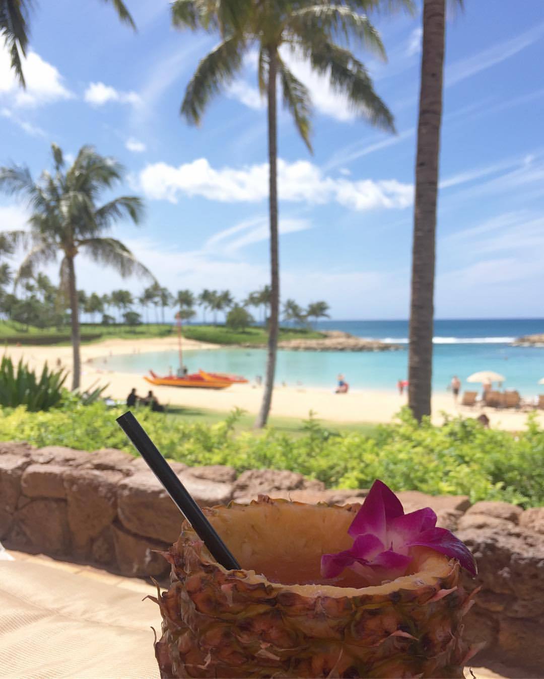 Hawaiilife (2) Tumblr Gallery