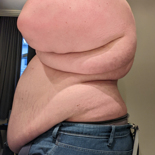 obese500:  sexy ,   I&rsquo;d really prefer if people wouldn&rsquo;t reblog my posts without the original captions (Don&rsquo;t reblog to p0#n blogs)