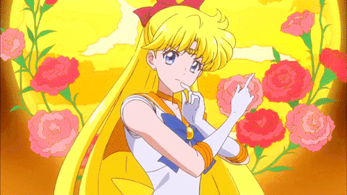 moonlightsdreaming:In the name of the moon, we’ll punish you!