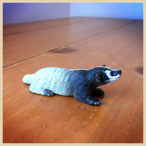 American Badger, Playvisions, from the Weasels and Skunks Set, 1998.