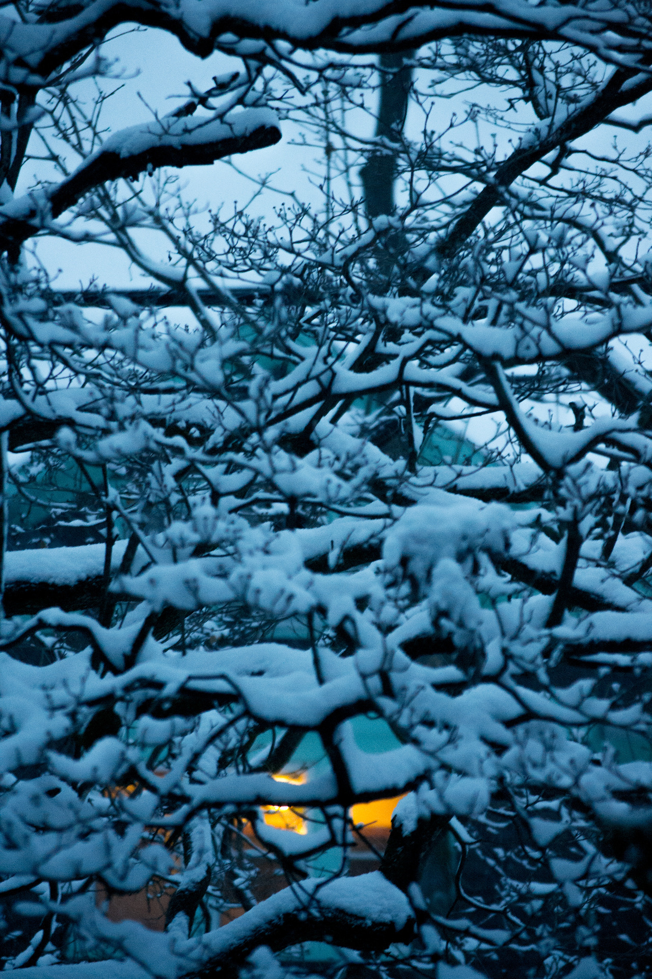 Tumblr Photo