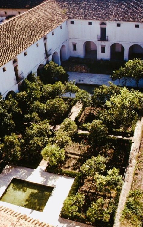 Dos vistas, Patio interior, Alcázar, Córdoba, 1977 y 2016.