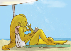 eldstunga:Summer Prompt I: Cocktails, Reading in the sun, Relaxing on the beach, Lekku sunburn inc.