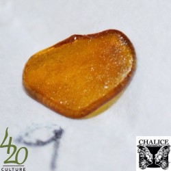 jasper420culture:  So many dabs this month, it’s getting hard to keep track! Here’s entry #9 from @chalicefestival definitely some #topshelf #fuego! #420culture #dabcity #dabwars #dailydab #dabgenius #dabwithme #dabsondabs #dabsociety #shatter #bho