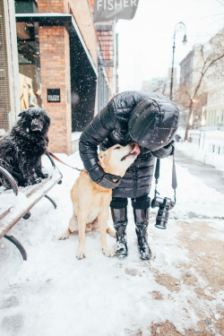 nichvlas:  Juno Blizzard : NYC (by Jose