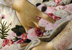 c0ssette:  Sandro Botticelli,“La Primavera”