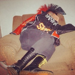 marcuriall:  Sleeping ponx 