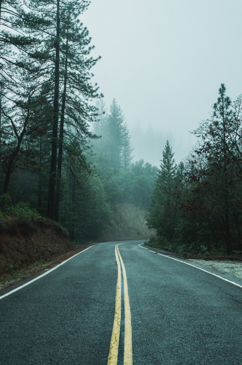 moody-nature:  Lost within the photo thread you play the dreams inside your head | By Lucas Hogg 