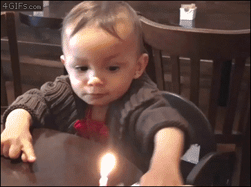 4gifs:  Cold blooded. [video]