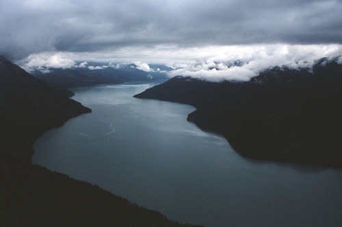 grayleafs:                 B&W Blog