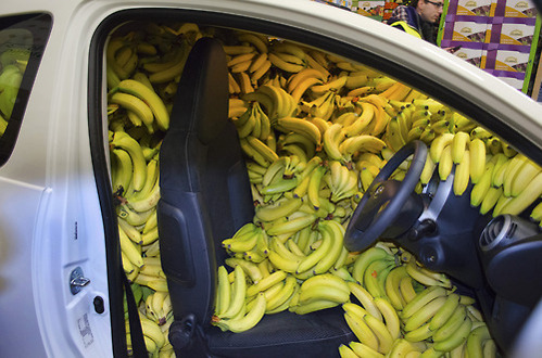 tastefullyoffensive:  You’re driving me bananas. [x]