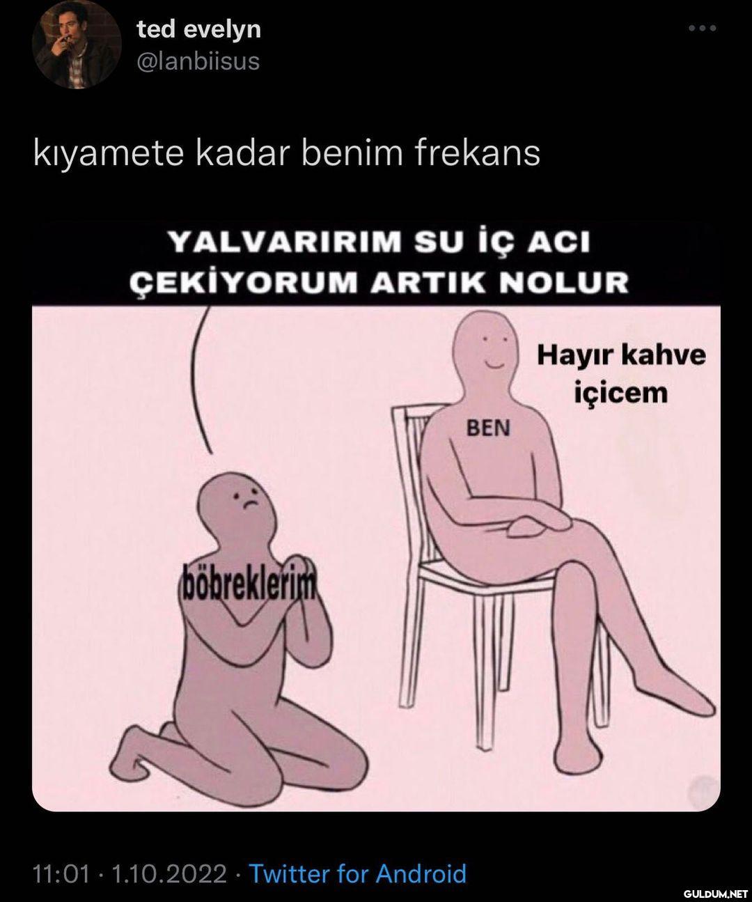 Benim böbrekler de artık...